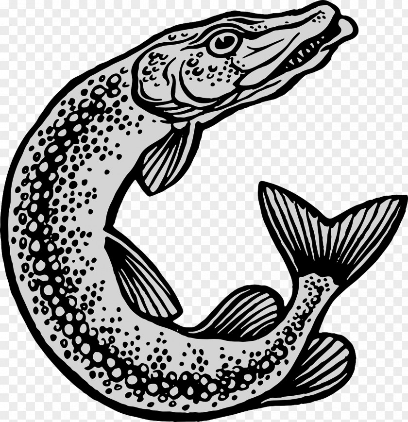 Fisch Northern Pike Muskellunge Drawing Fishing Clip Art PNG