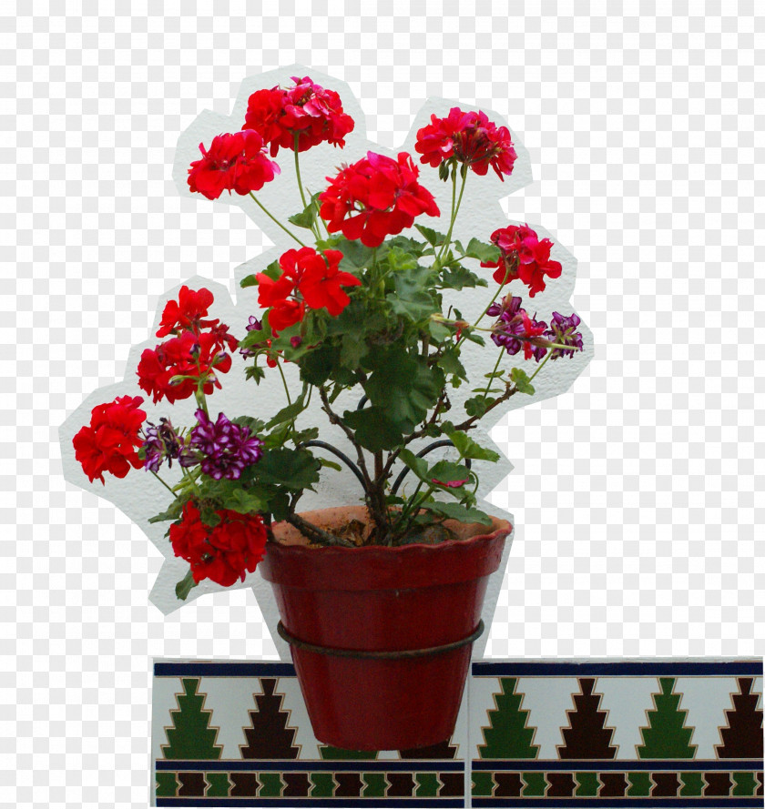 Flower Flowerpot Vase Garden Patio PNG