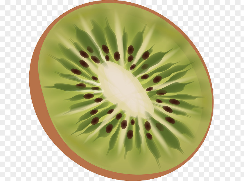 Kiwi Fruit Salad Kiwifruit T-shirt OpenSUSE Clip Art PNG