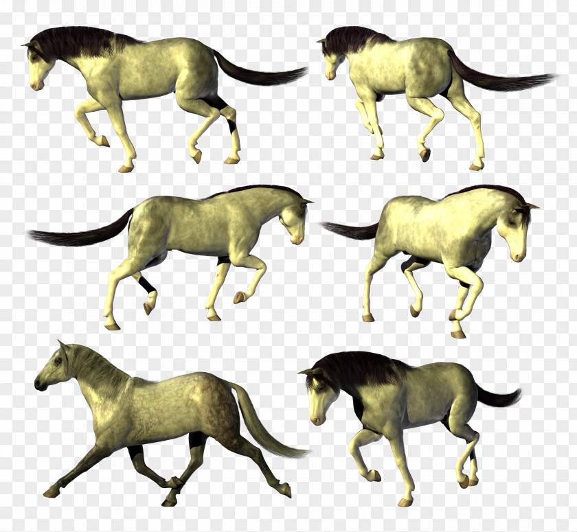 Mustang Pack Animal Painting Cat PNG