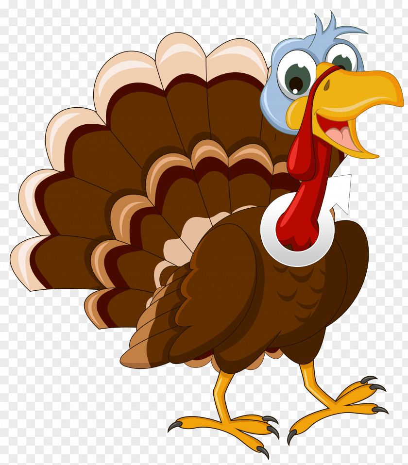 Thanksgiving Pictures Clip Art PNG