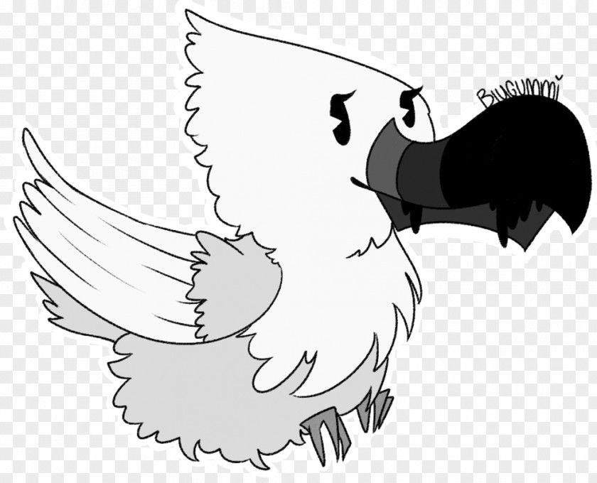 Toucan Bird Drawing Art PNG