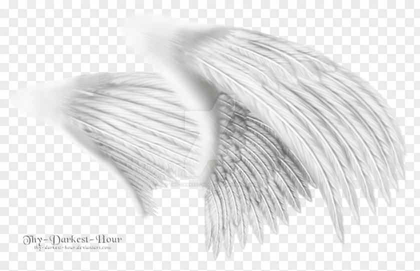 Angel Wings Clip Art PNG