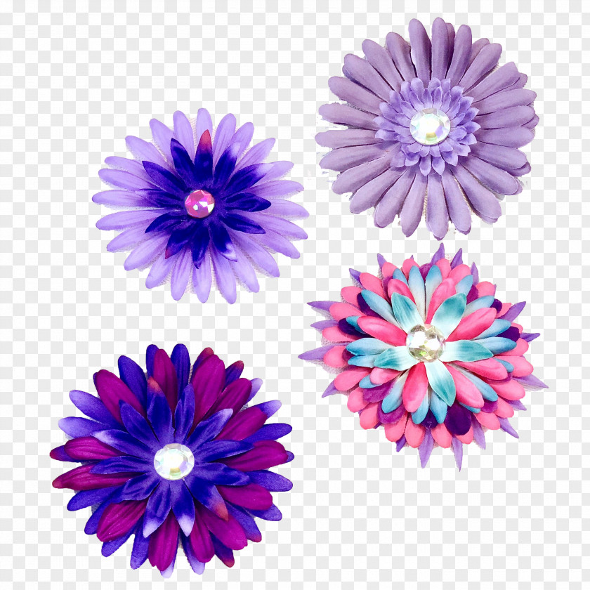 Flat Lay Summer Flowers Cut Purple Violet Transvaal Daisy PNG