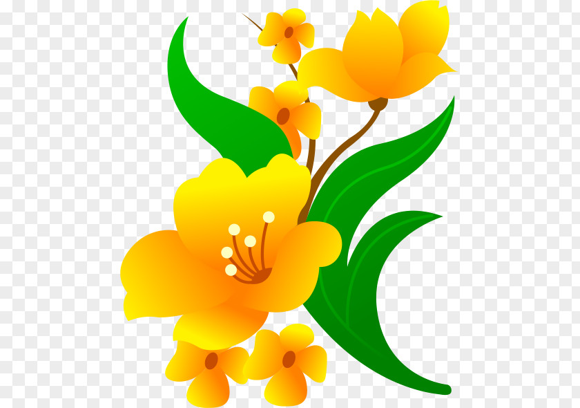 Flower Floral Design Vector PNG