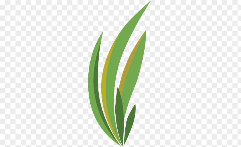 Lush Grass Lawn Artificial Turf Backyard Leaf Logo PNG