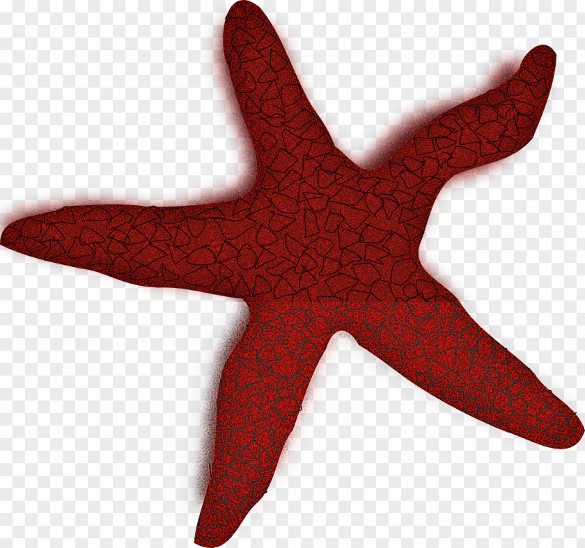 Starfish Red Star PNG