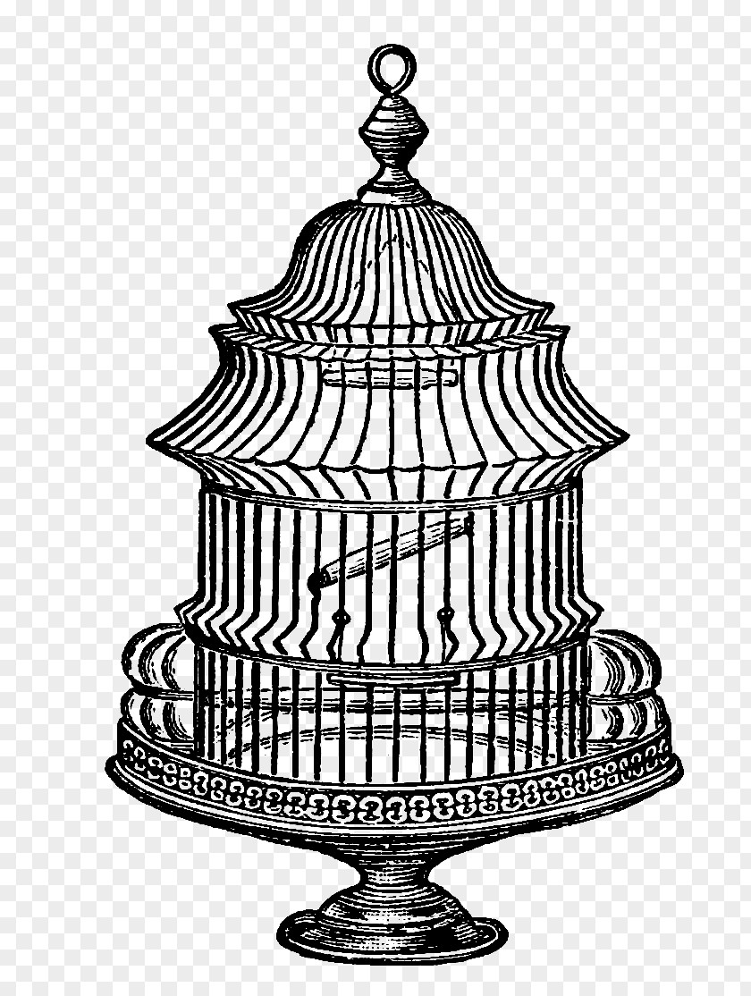 Bird Cage Birdcage Domestic Canary Clip Art PNG