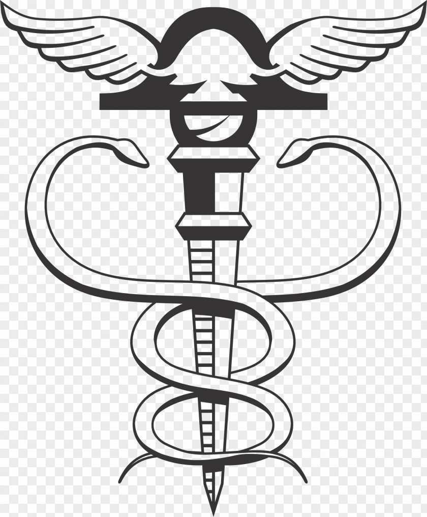 Caduceus Medical Symbol Financial Accounting Accountant Bookkeeping Service PNG