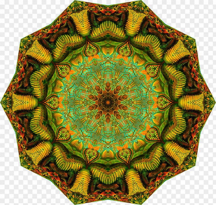 Circle Symmetry Polypodiopsida Ernst Haeckel Pattern PNG