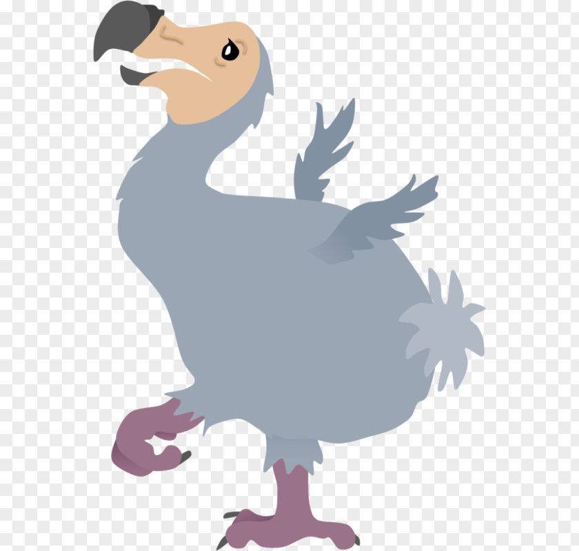Dodo Scrat Ice Age Image Bird PNG