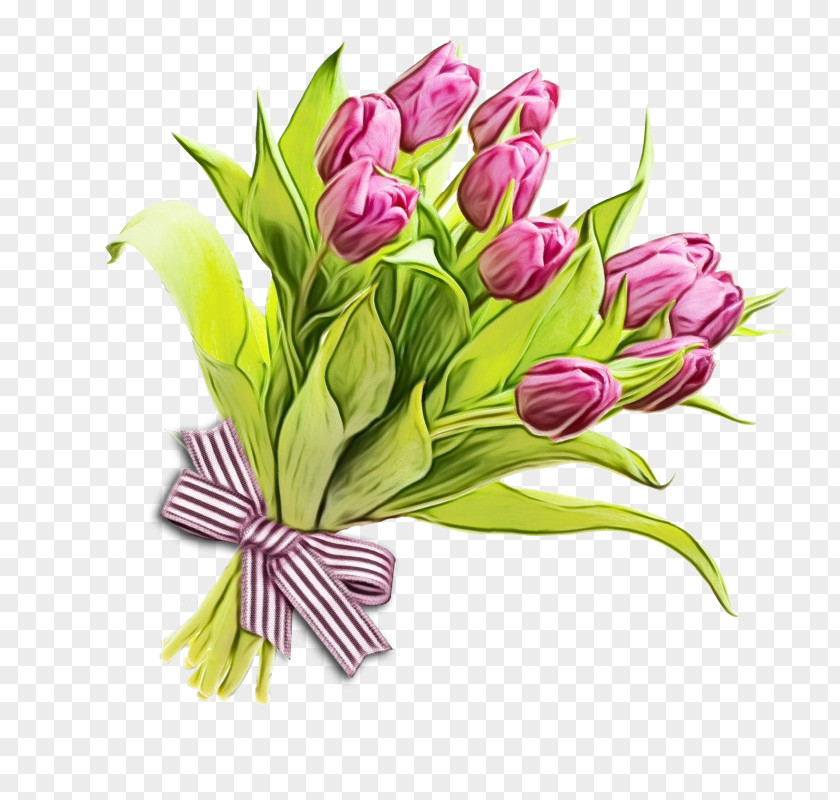 Plant Stem Floral Design Watercolor Background PNG