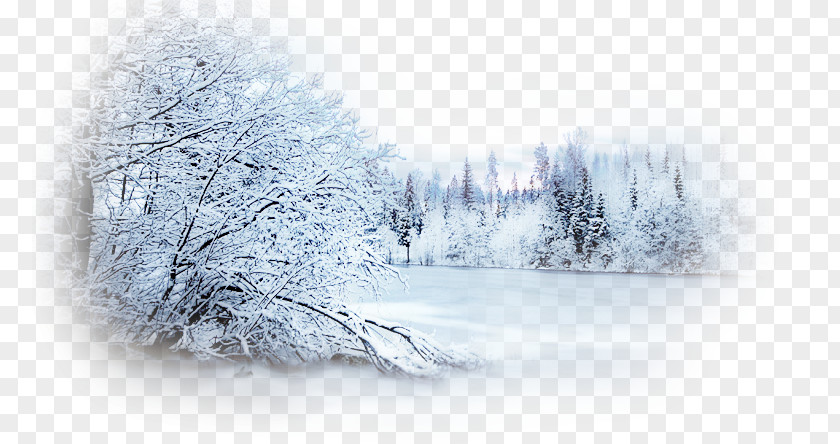 Snow Scene Winter Desktop Wallpaper Photography Clip Art PNG