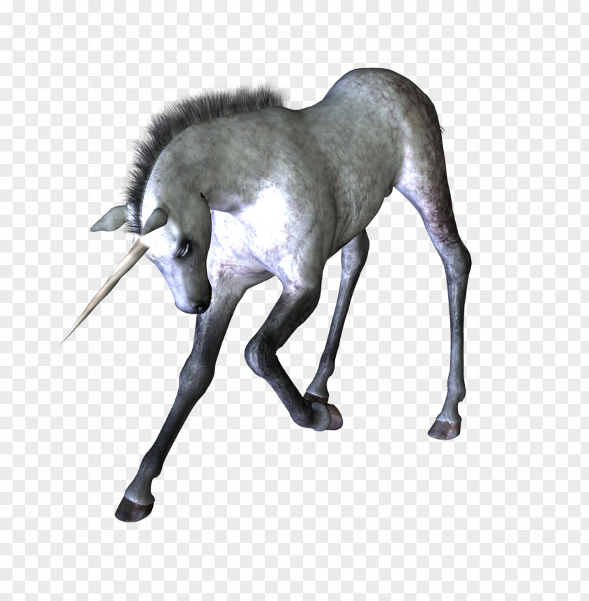 Unicornio Unicorn Horse Legendary Creature Brush PNG