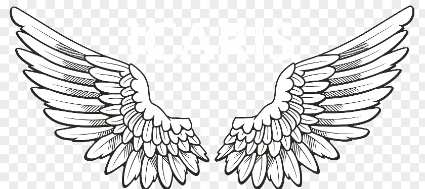 Wings Tattoo Clip Art PNG