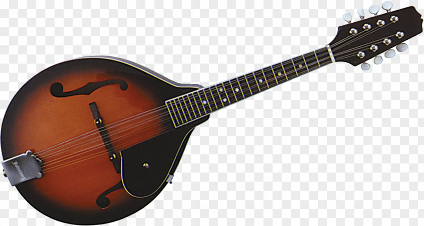 Acoustic Guitar Banjo Mandolin Electric Tiple PNG