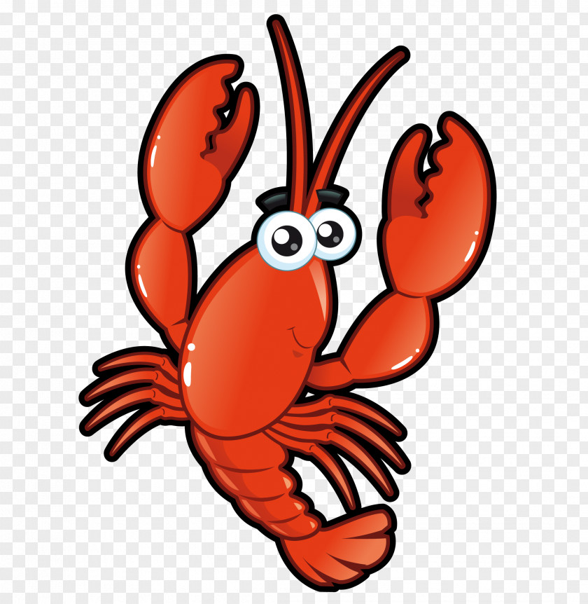 Cartoon Vector Lobster Homarus Roll Drawing PNG
