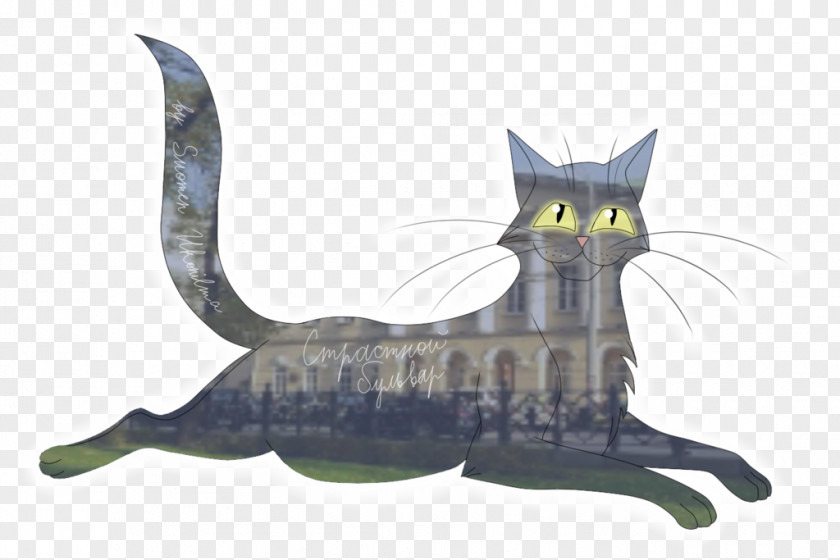 Cat Whiskers Tabby Tail Claw PNG