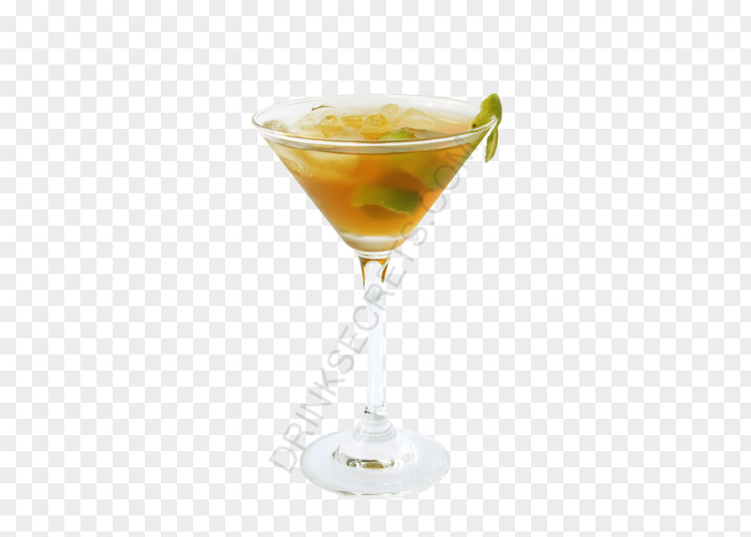 Cocktail Garnish Martini Dubonnet Wine PNG