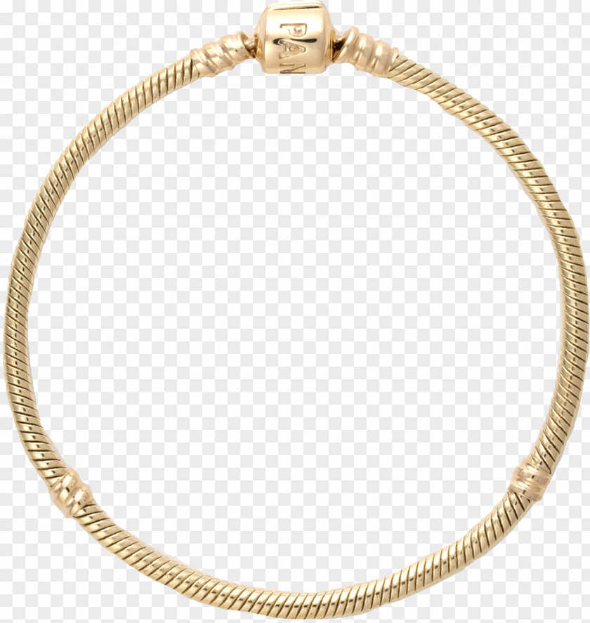 Jewellery Earring Charm Bracelet Gold PNG