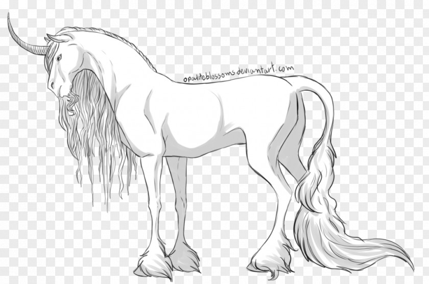 Shaded Mustang Pony Drawing Pack Animal Sketch PNG