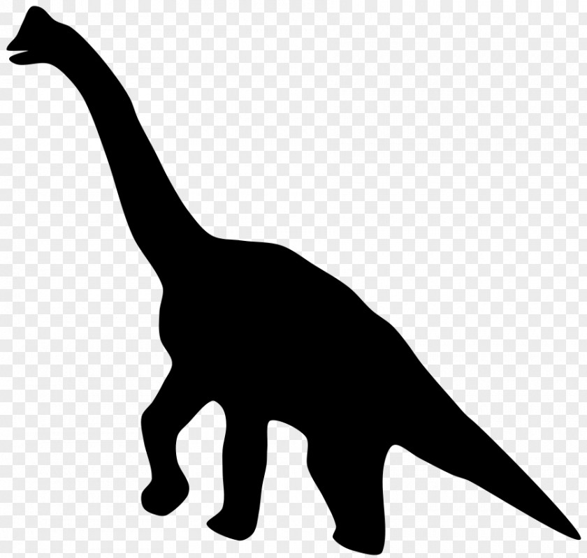The Shadow Cliparts Tyrannosaurus Brachiosaurus Diplodocus Triceratops Brontosaurus PNG