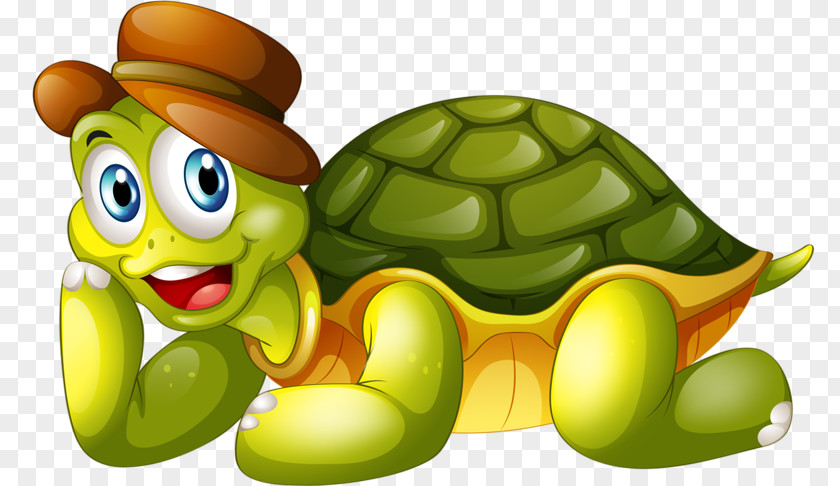 Turtle Stock Photography Vector Graphics Royalty-free Image PNG