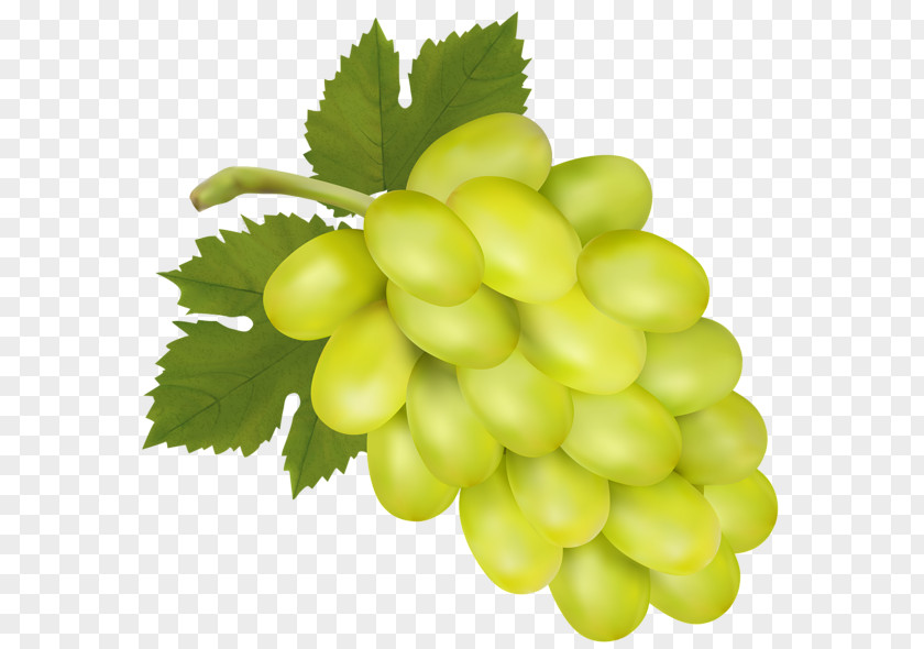 White Grapes Cliparts Common Grape Vine Isabella Wine Sultana Concord PNG