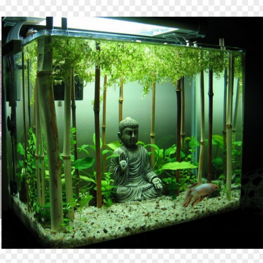 Aquarium Decoration Goldfish Siamese Fighting Fish Aquariums Aquascaping PNG