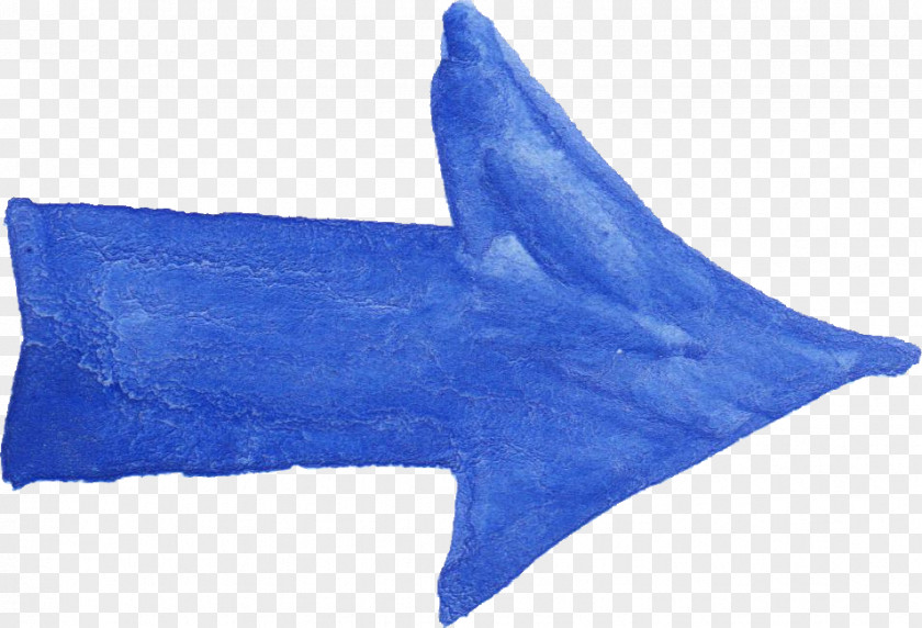 Shark Cobalt Blue Dolphin PNG