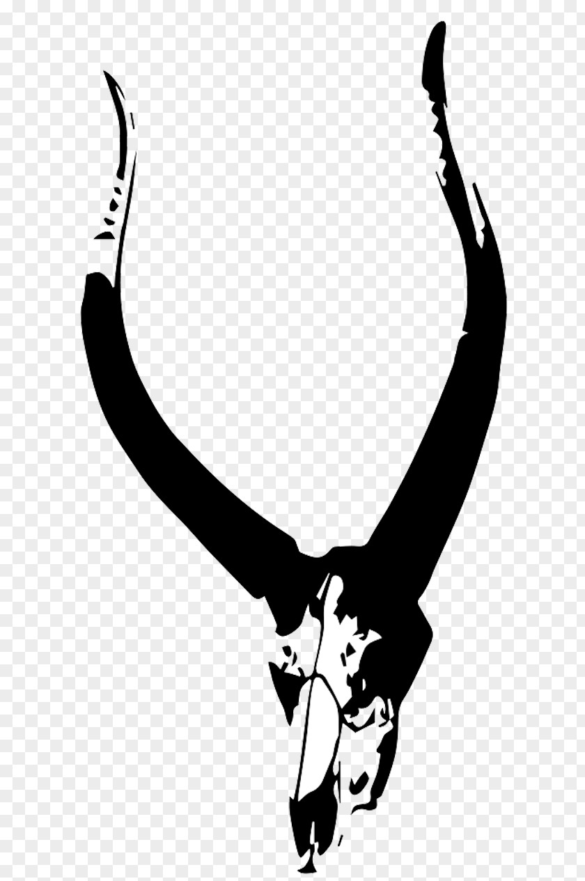 Skull Antelope Pronghorn Clip Art Illustration PNG