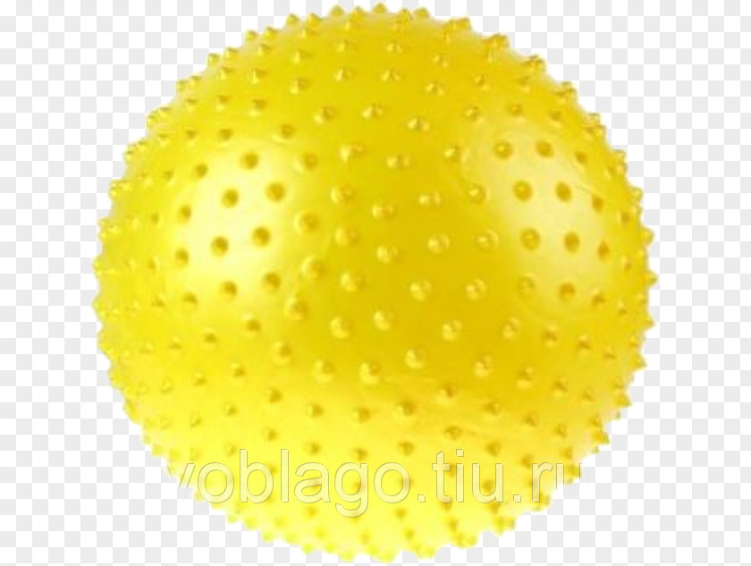 Ball Sphere Pollen Fruit PNG