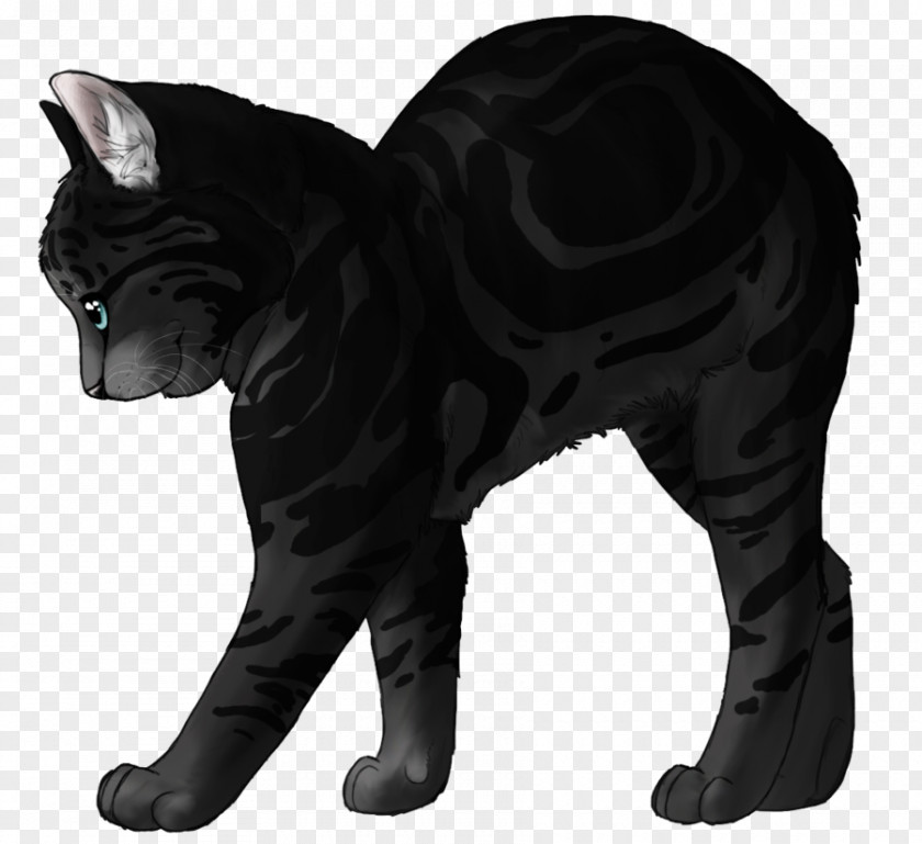 Cat Whiskers Drawing Dog Fur PNG