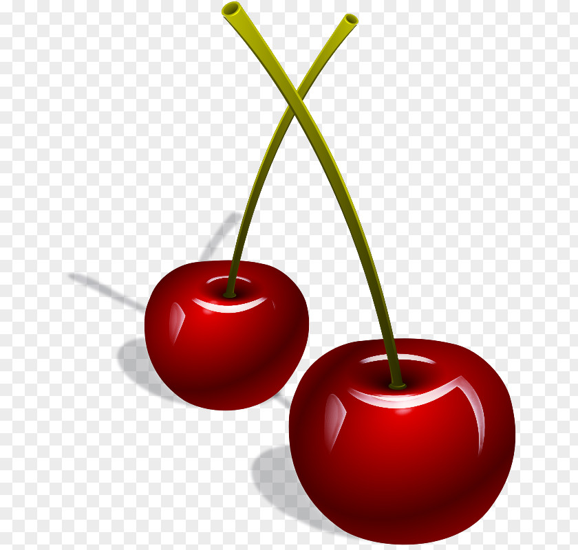 Cherry Fruit Red Plant Tree PNG