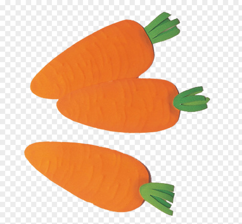 Illustration Vegetable Carrot PNG