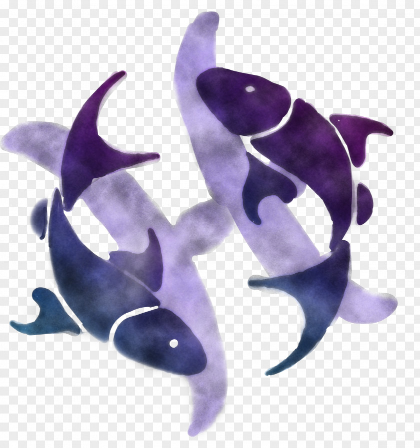Purple Violet Dolphin Killer Whale Cetacea PNG