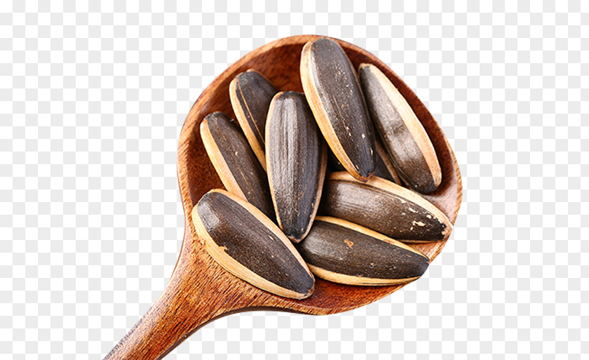 Quality Specialty Sunflower Seeds Common Seed Nut PNG