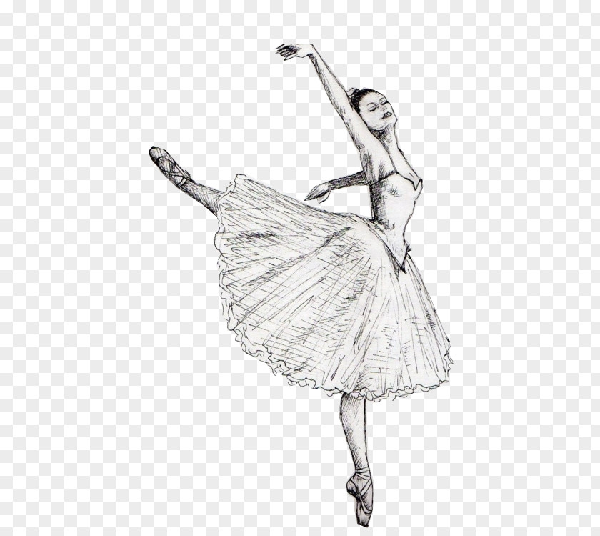 Tai Drawing Ballet Dancer Sketch PNG