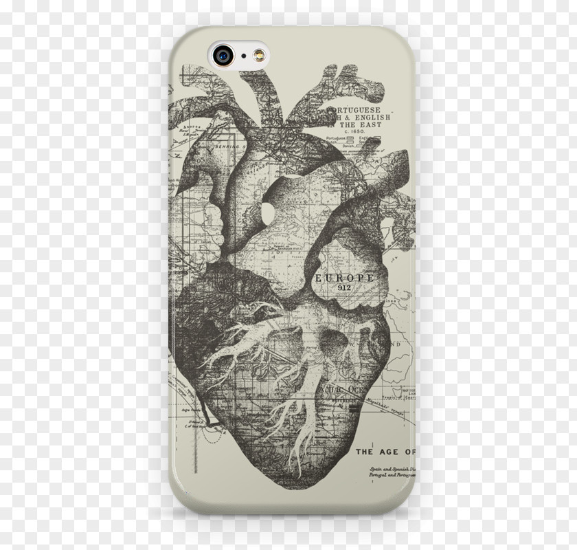 Cases Kollwitz Internet Anatomy Heart .ch Plakat Naukowy PNG