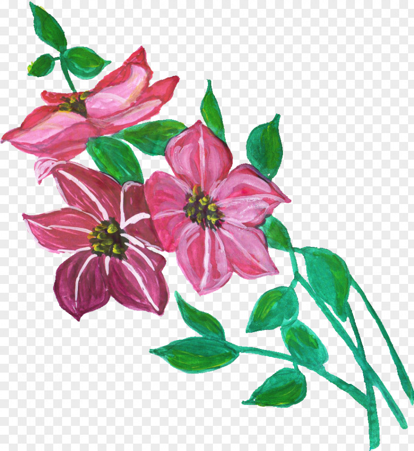 Clematis Magnolia Watercolor Pink Flowers PNG