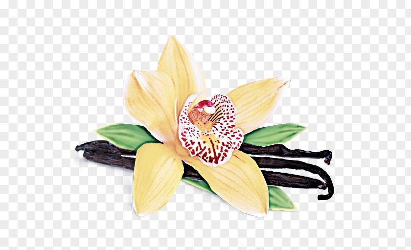 Jewellery Fashion Accessory Artificial Flower PNG