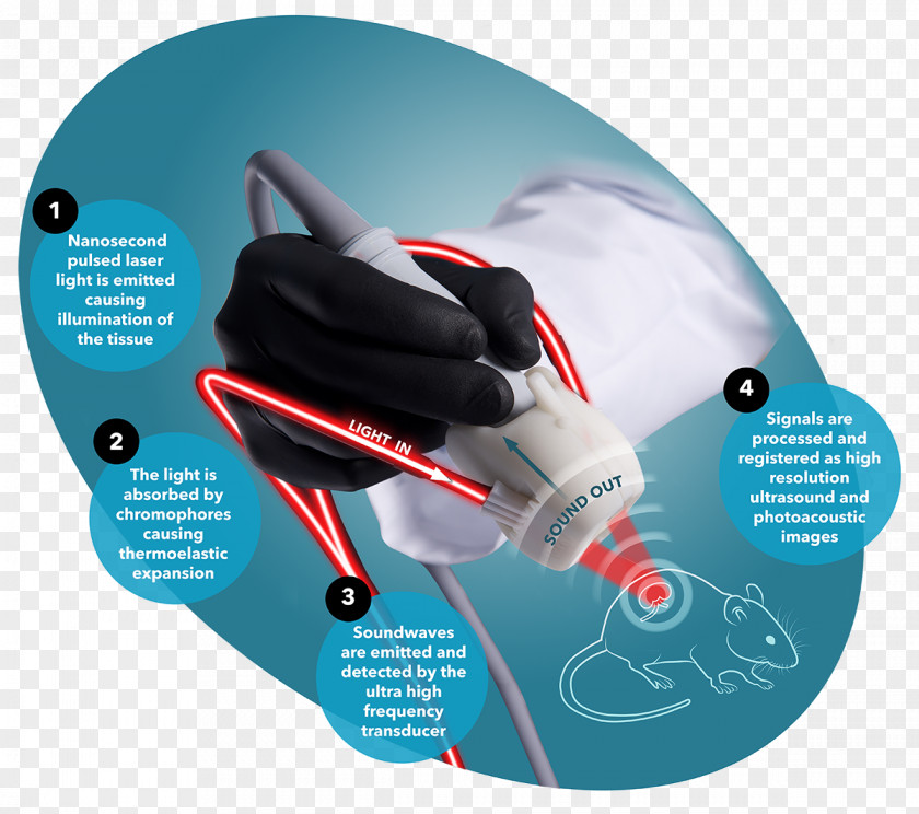 Photoacoustic Imaging VisualSonics Effect Medical MRI Contrast Agent PNG