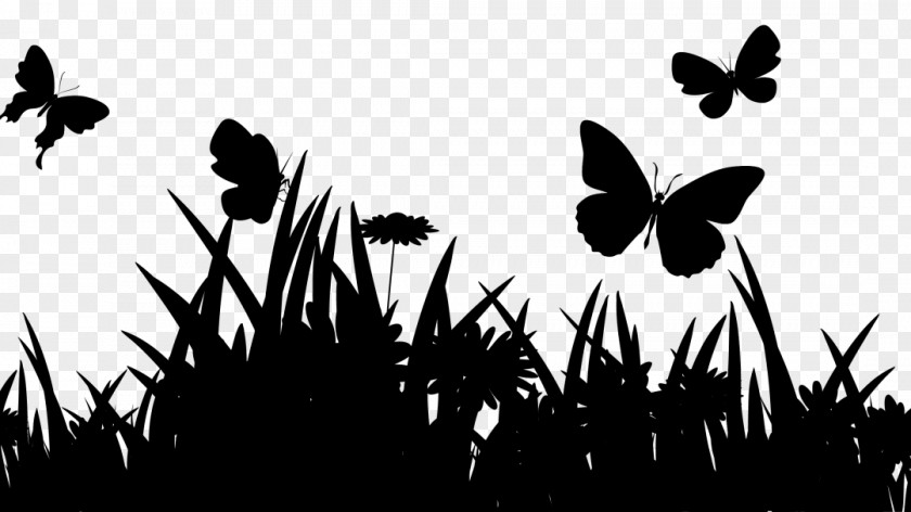 Photography Brush-footed Butterflies Silhouette Desktop Wallpaper Portrait PNG