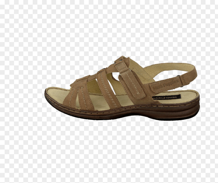 Sandal Slide Shoe Walking PNG