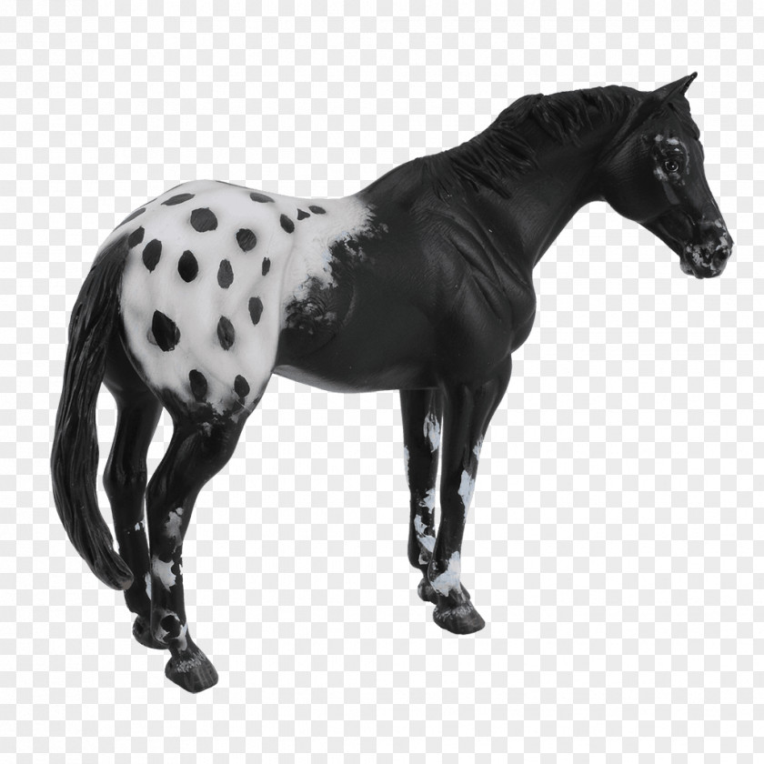 Toy Appaloosa Stallion Breyer Animal Creations Model Horse CollectA PNG