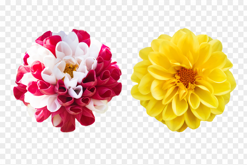 Artificial Flower PNG