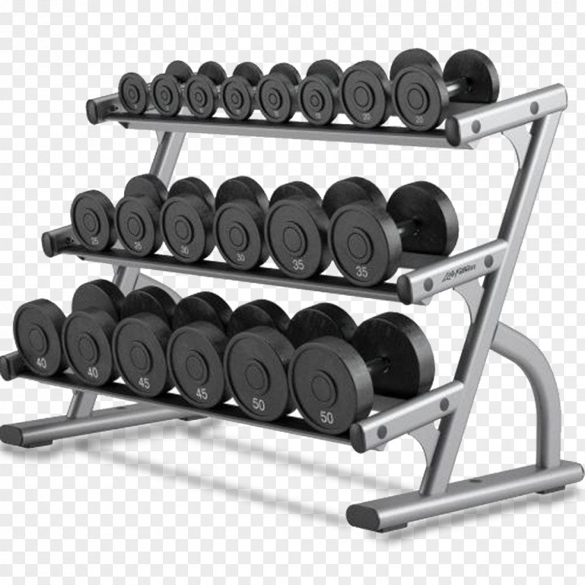 Dumbbell Exercise Equipment Life Fitness Centre Smith Machine PNG