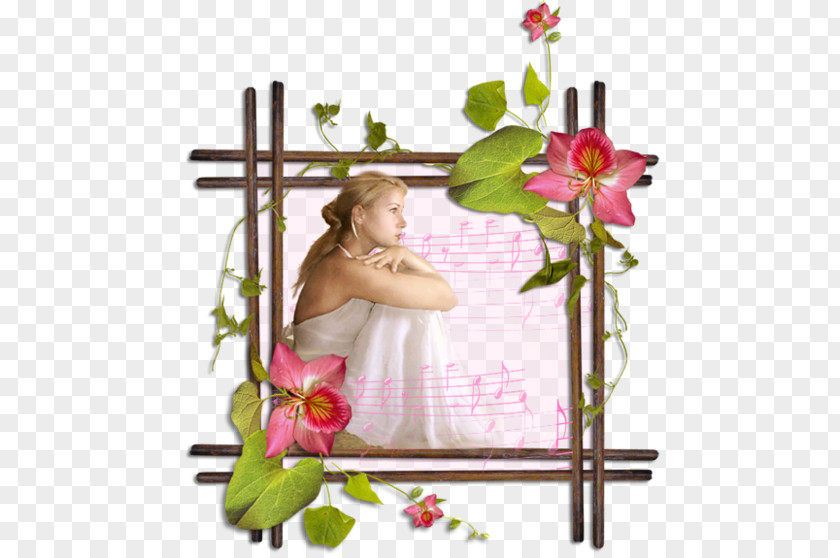 Picture Frames Clip Art PNG