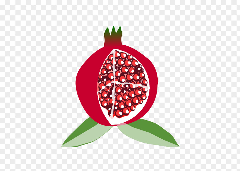 Pomegranate Fruit Juice Clip Art PNG