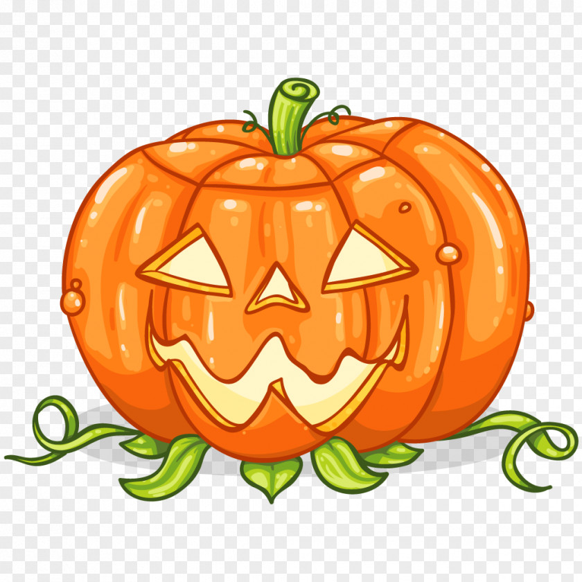 Pumpkin Jack-o'-lantern Winter Squash Gourd Vegetarian Cuisine PNG